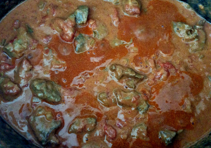 Indiase curry 11