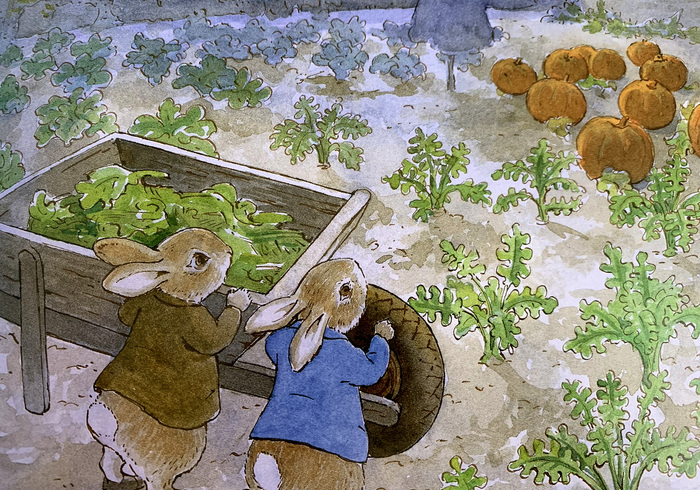 Peter rabbit and the pumpkin patch 01