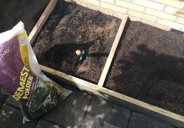 Redo kitchen garden 04