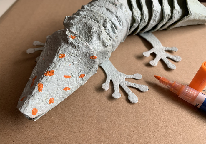 Sint surprise gekko 19