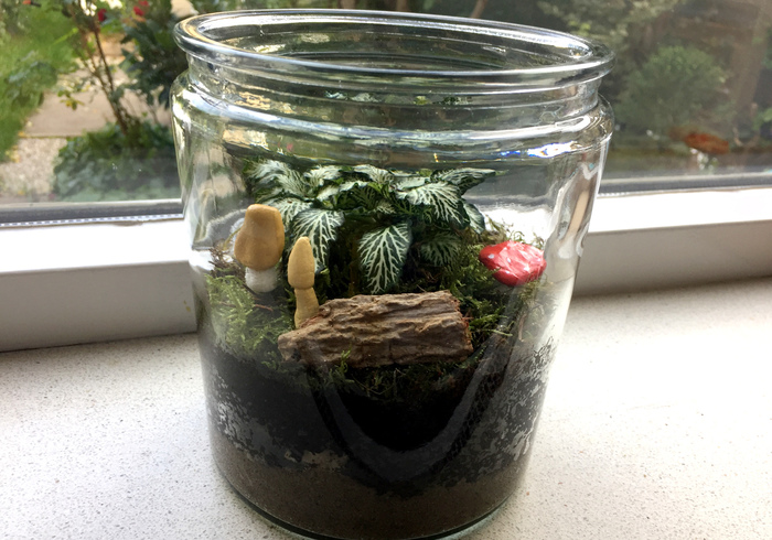 Mini kaboutertuintje 09