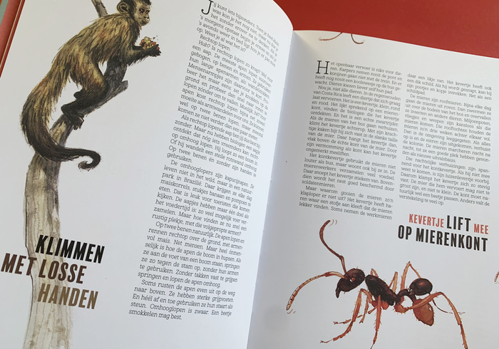 De reuzenkraak is liever lui 01