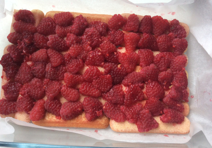 Tiramisu raspberries 12