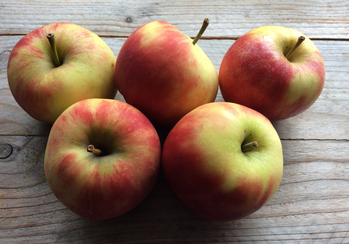 Mums apple cake sidepic