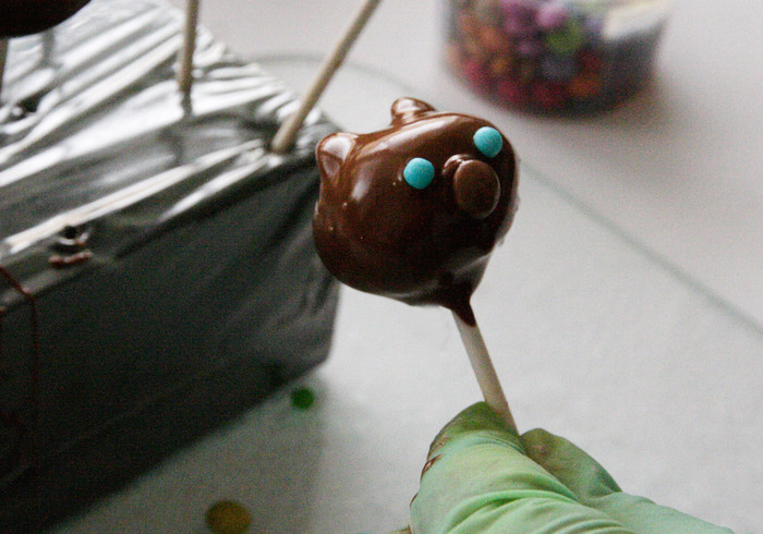 Bear cakepops 13