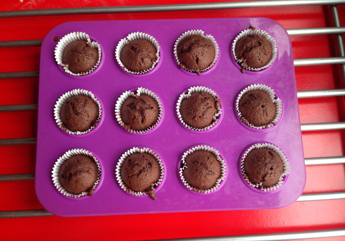 Lady bug cupcakes 10