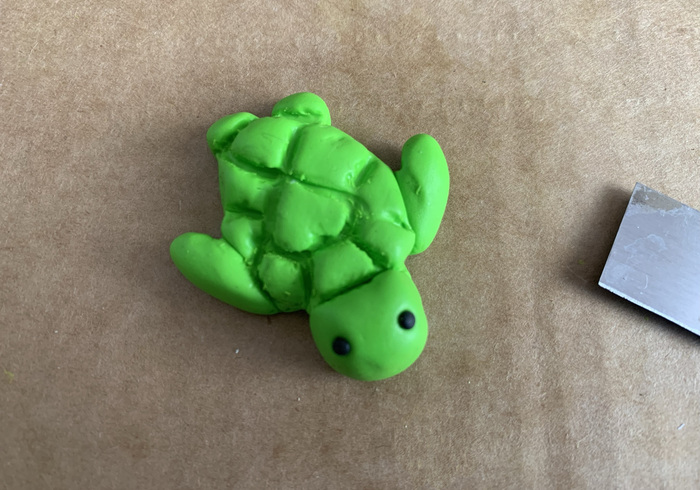 Zeeschildpadjes 25