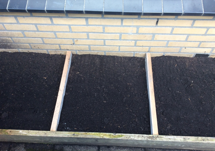 Redo kitchen garden 03