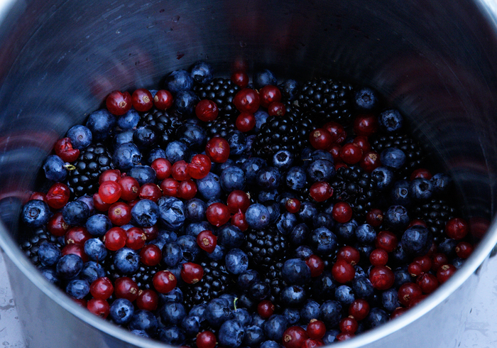 Forest fruit jam 03