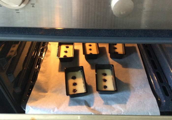 Blackberry financiers 12