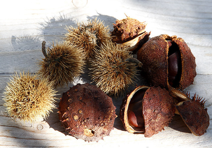 Herfst materiaal 03