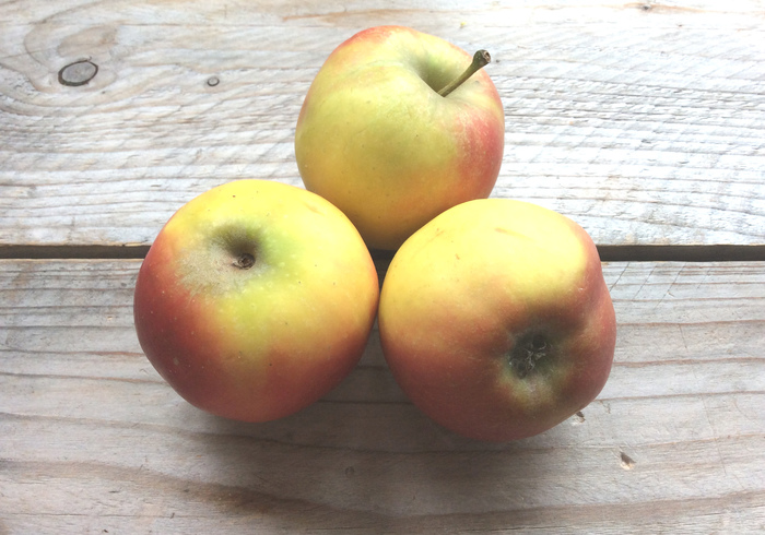 Apple cakes sidepicl