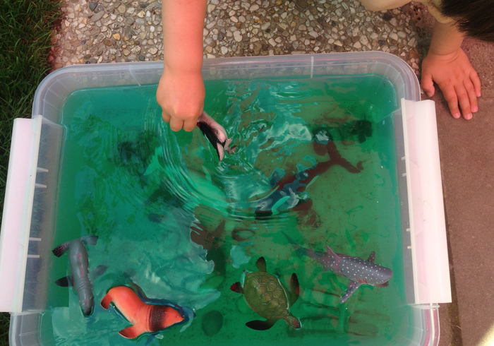 Sensory play sea home