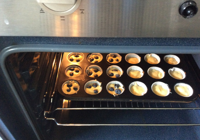 Blueberry muffins 10
