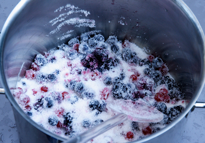 Forest fruit jam 04