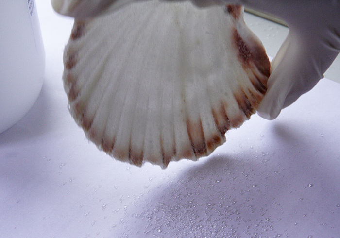 Geodes08