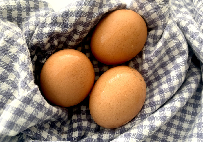 Sgute calabresi 01