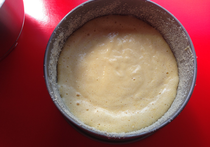 Ricotta cake 09