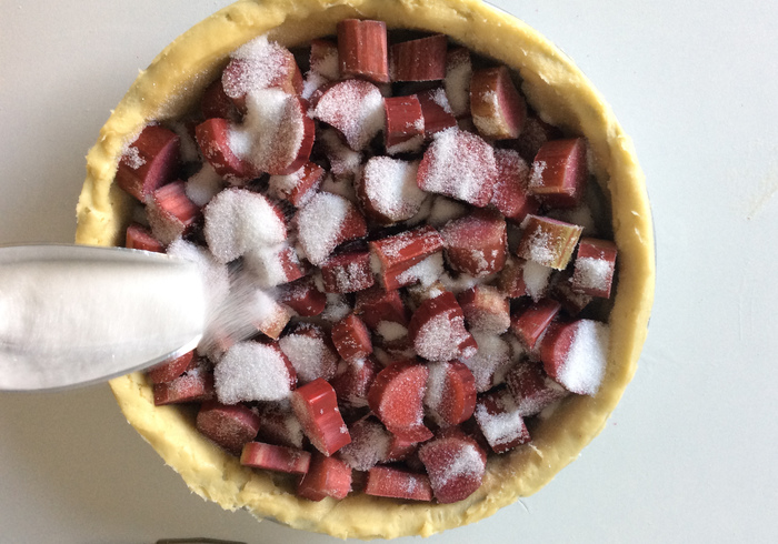 Ireland rhubarb pie 12
