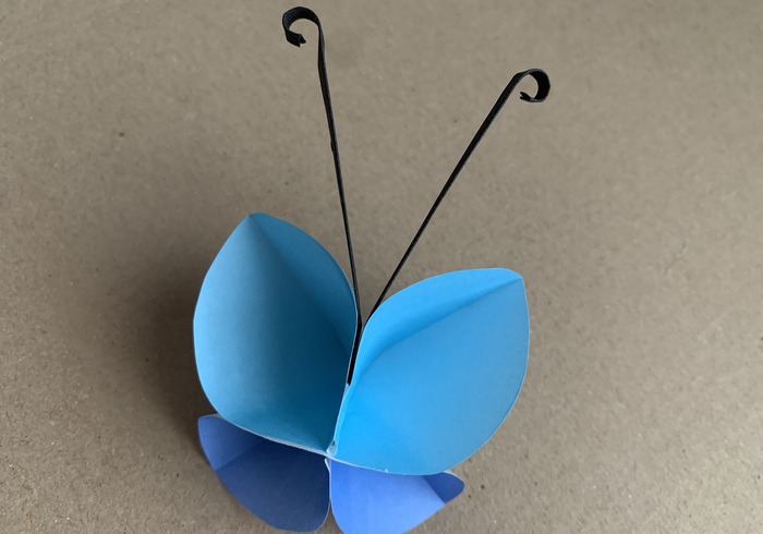 Vlinder 14