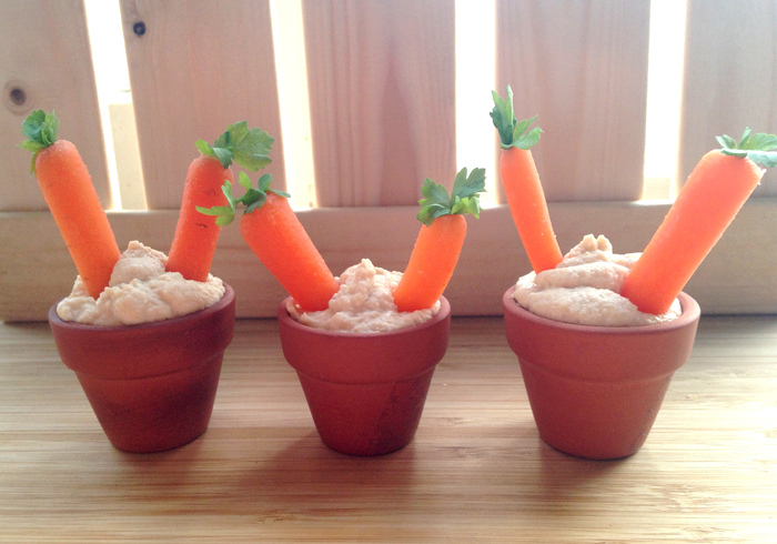 Wortel hummus potjes home