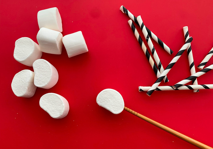 Marshmellow skellies 02