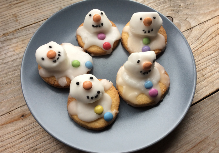Gesmolten sneeuwpop home