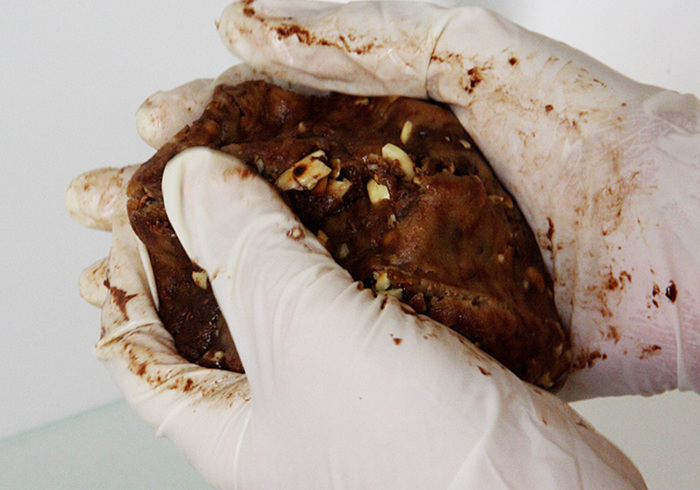 Chocolate fruits nuts cookies 22
