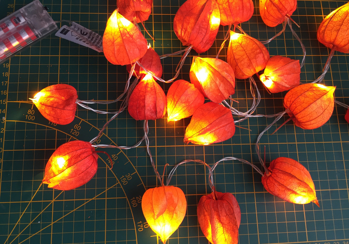 Physalis lichtjes 04