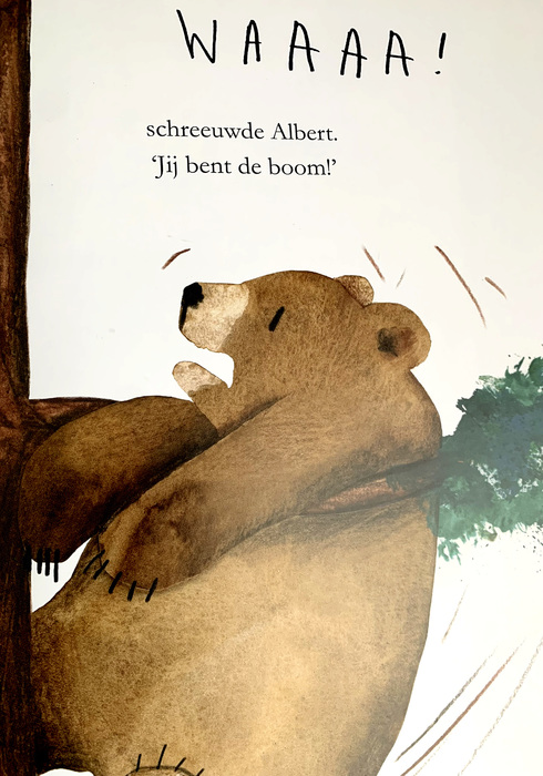 Albert's boom 04