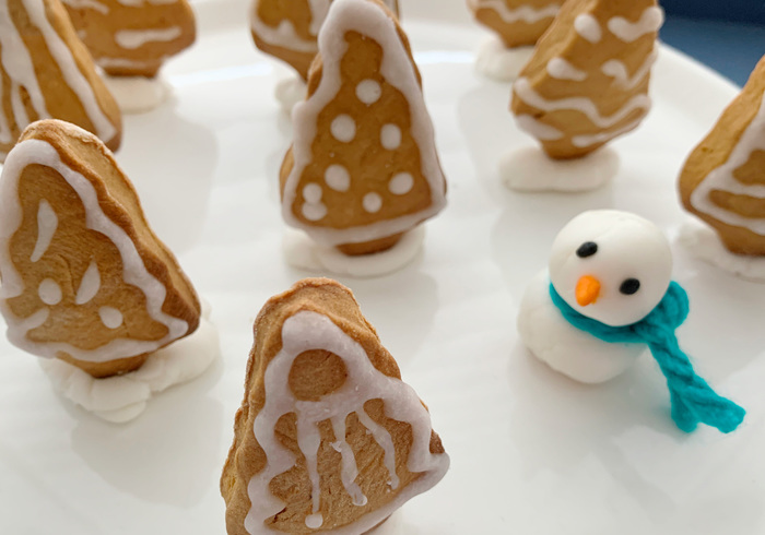Peperkoek bomen 20
