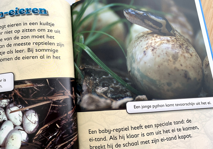 Reptielen 03