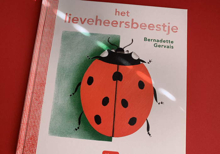 Het Lieveheersbeestje