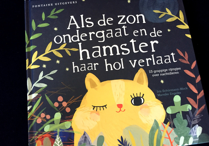 Als de zon ondergaat
