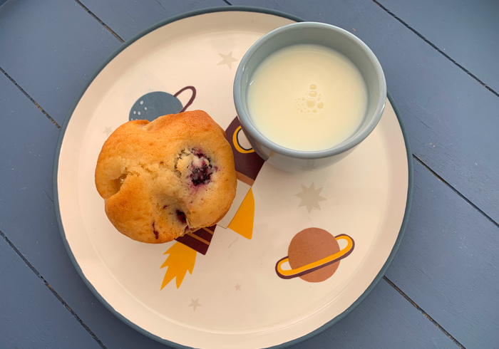 Blackberry muffins