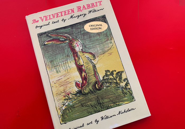 Het fluwelen konijn door Margery Williams