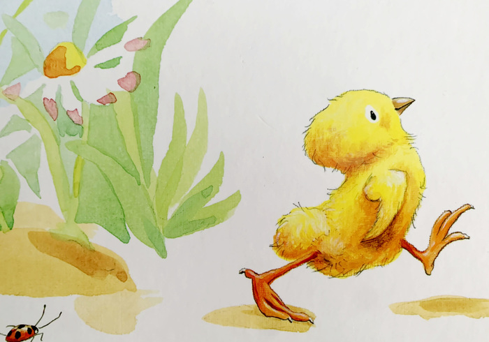 Little chick, 3 stories for little ones