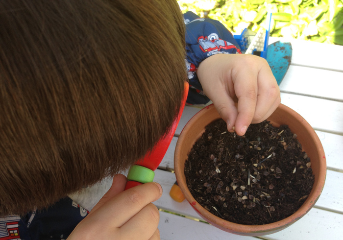 We  planten zaadjes