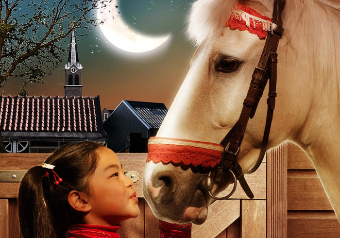 Het paard van Sinterklaas,