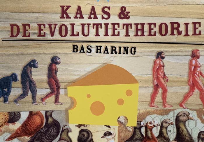 Kaas