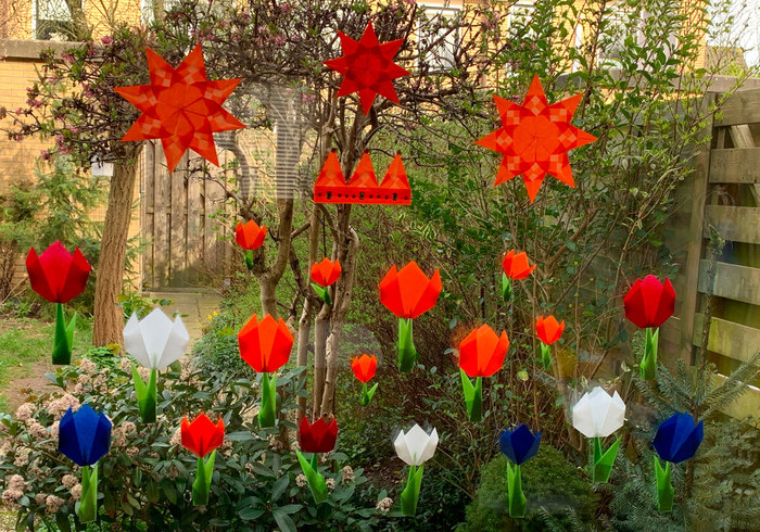 Sterren en bloemen