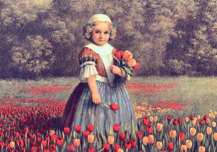 Hanna in de tijd van de tulpen