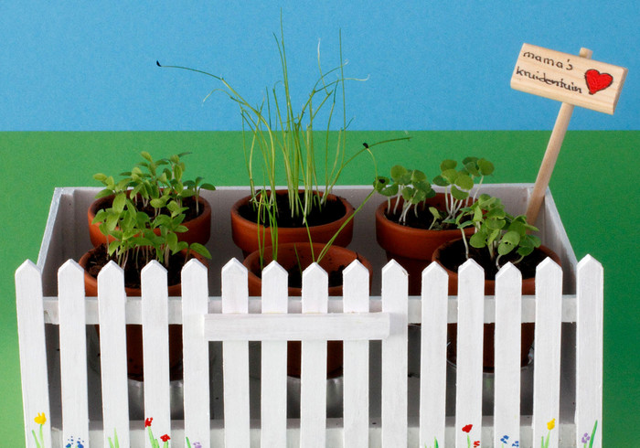 A mini herb garden