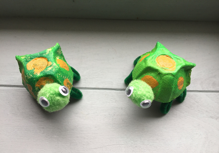 Schattige schildpadjes