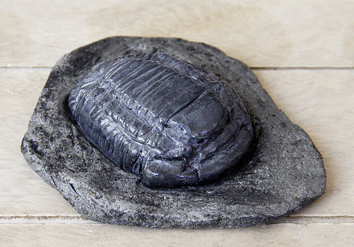 Make a Trilobite