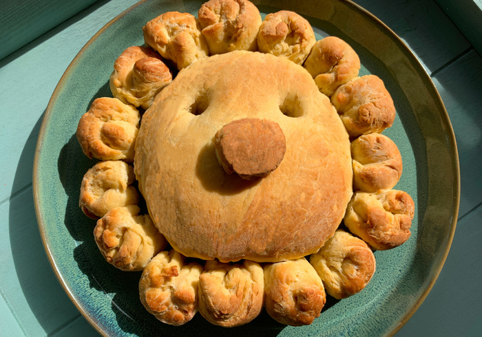 Een Zonnebrood