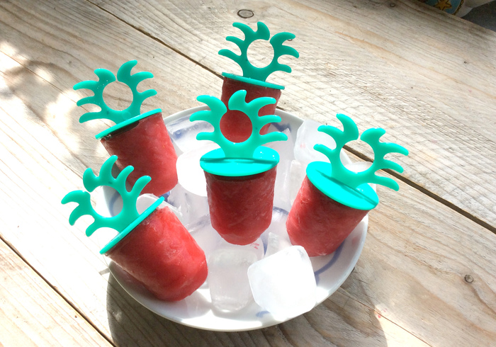 Fruitige mini freezies