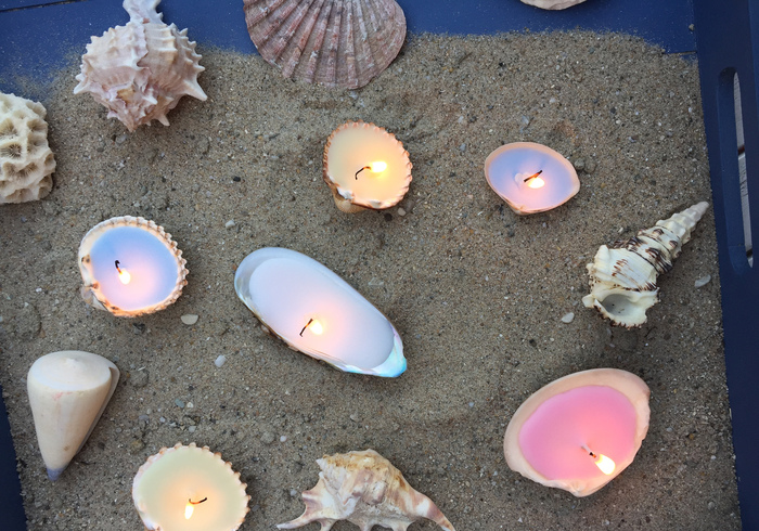 Schelpenlichtjes