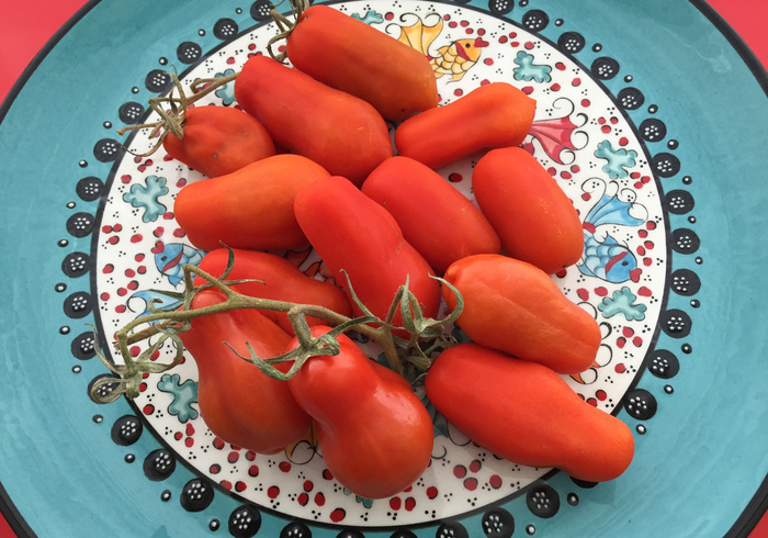 De oktober-tuin