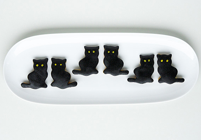 Bak zwarte heksenkatten